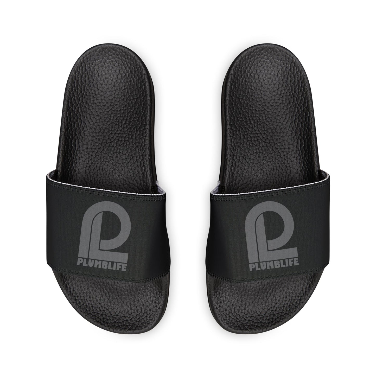 PL Logo Slides